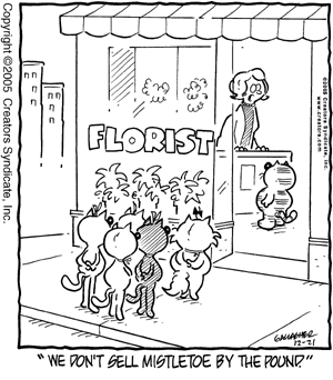 heathcliff